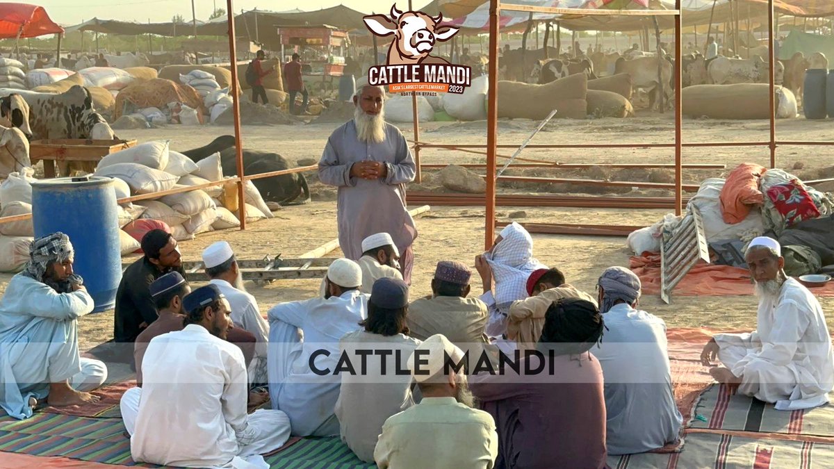 cattlemandi2023's tweet photo. Peaceful Prayer Area has been settled at Qazi's Cattle presents Cattle Mandi 2023.
.
#cattlemandi2023 #LatestUpdates #prayerarea https://t.co/wH3QKfplC5