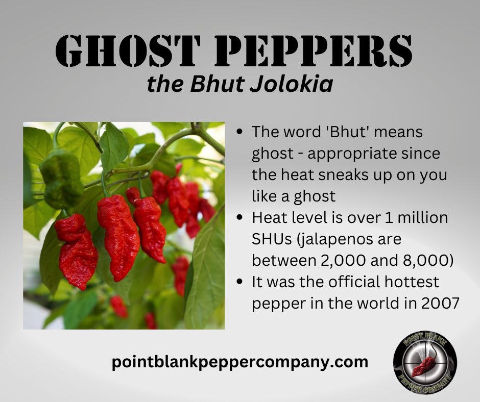 PntBlankPepper's tweet photo. Don’t let the name or the heat scare you!  Try our Hallow Rings and Table Sauce Version 2.0 and experience a sweet slow burn of flavor that isn’t the least bit scary!
#pointblankpeppercompany
#ghostpeppers https://t.co/CeHMK4oKwm