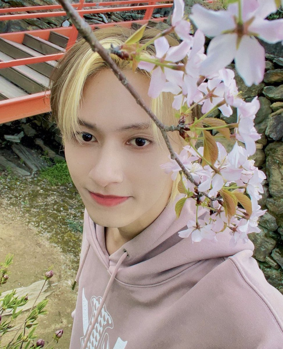 🌷Fall In Love - a on/offline birthday cupsleeve event for seventeen's #JUN

📆date/time: sat. june 10, 2-7pm

📍location: Gen Bobabee &amp; Coffee House, Austin, TX 

🔗donation form: tinyurl.com/junday2023

thank you for joining us in celebrating our beloved moon junhui 🐱🌙💗