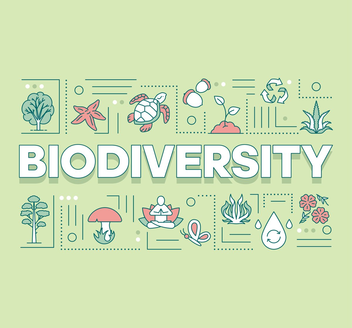 Korruption underminerar globala åtgärder till skydd för den biologiska mångfalden. 

Idag, på #InternationalDayforBiodiversity, vill vi på IMM belysa att arbetet mot korruption är nyckeln till en god biologisk mångfald och en hållbar framtid!