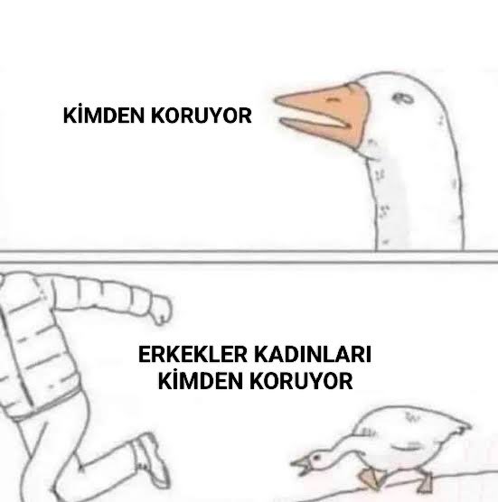 3111- kimden koruyor