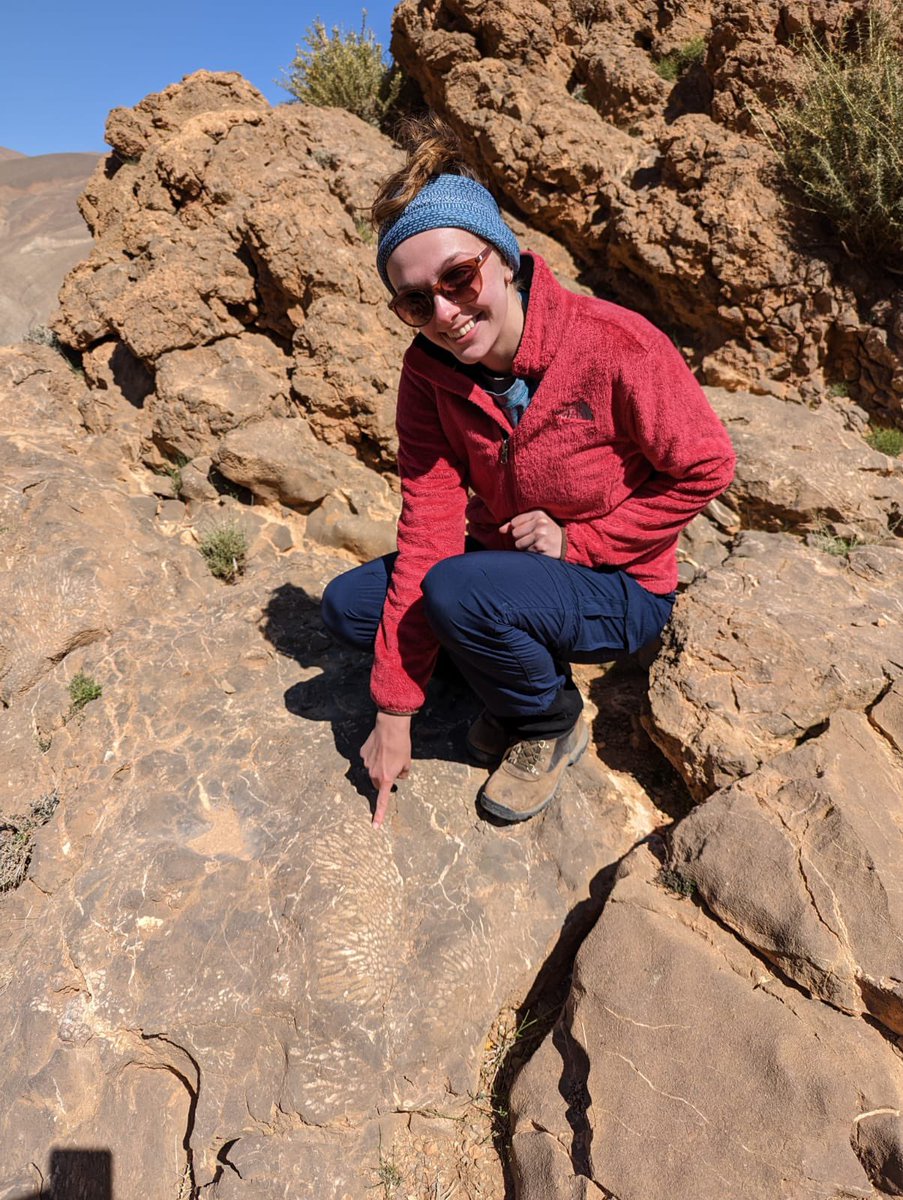 Claire Williams tweet media