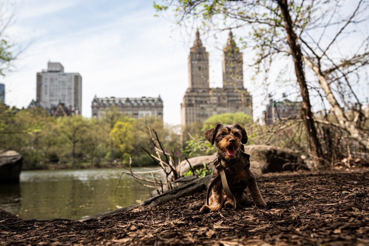 thegawdisback's tweet photo. @thegawdisback check out these views with coco https://t.co/adWneZsHIc