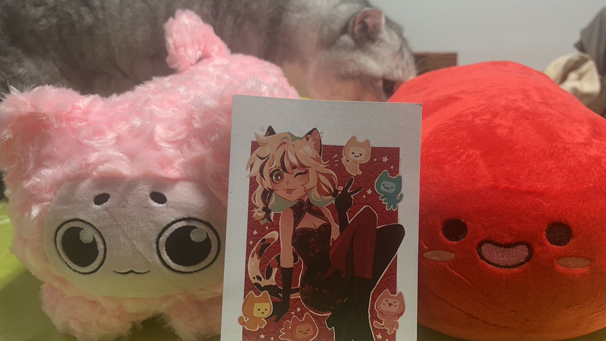 Yuqi233's tweet photo. Thannnnnks for the gift! @Dreamy3Plushies https://t.co/39x5w2a89S