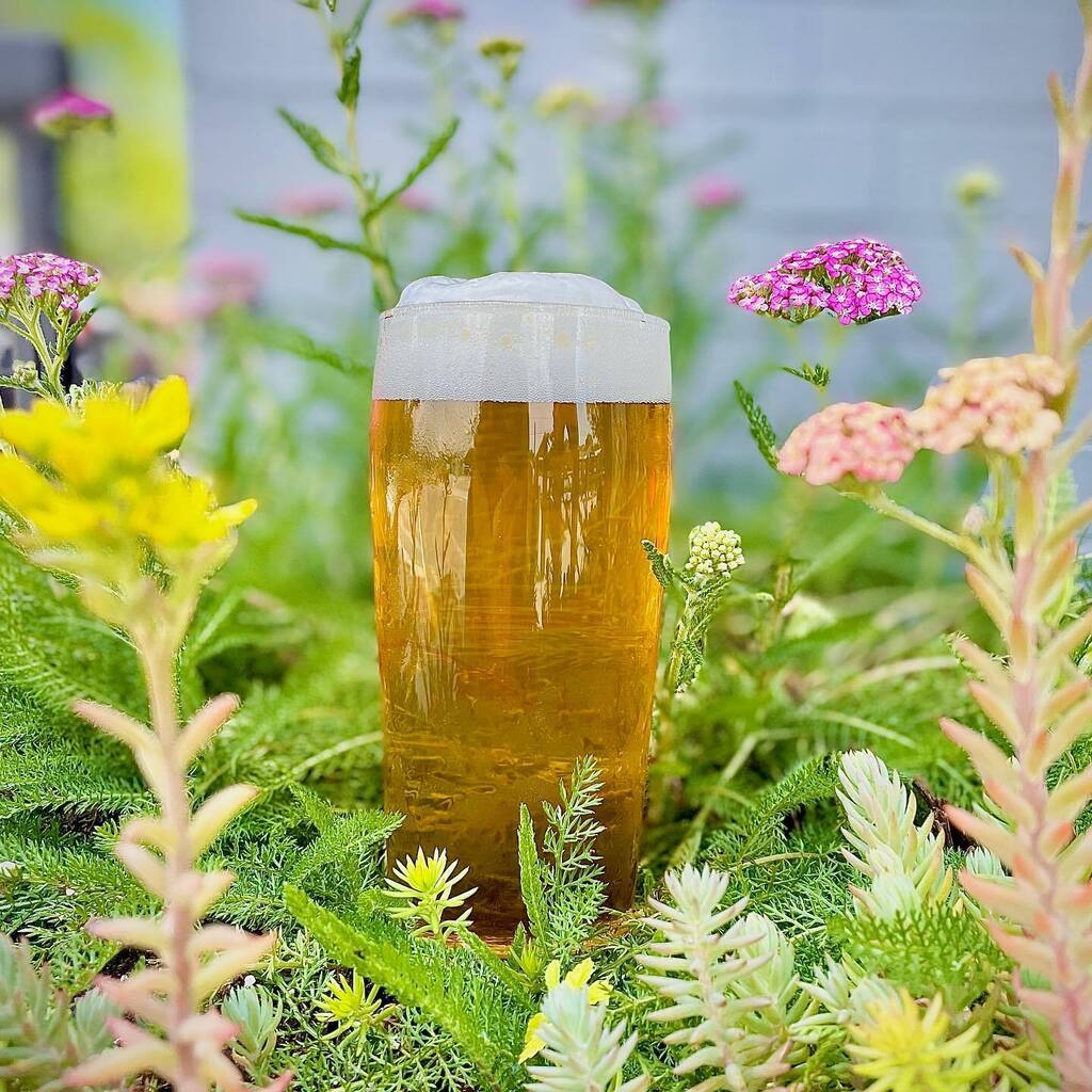 🍺 BEER RELEASE 🍺

/// Ijams Pale Ale \\\

Let’s kick off Knox Craft Beer Week! We partnered with @ijamsnaturecenter to create an easy-drinking seasonal pale ale. Their crew will be at the taproom today for the release party 4pm-6pm. They will be pour… instagr.am/p/CsjGuN5uuiE/