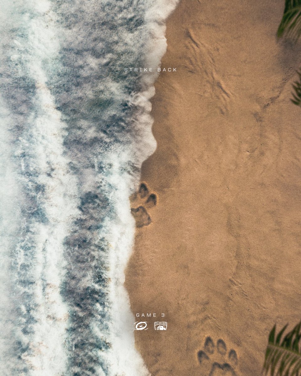 Carolina Hurricanes tweet media