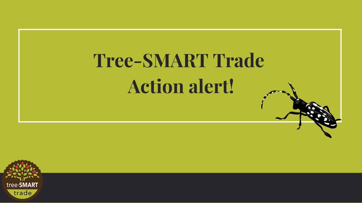 treeSMARTtrade tweet media
