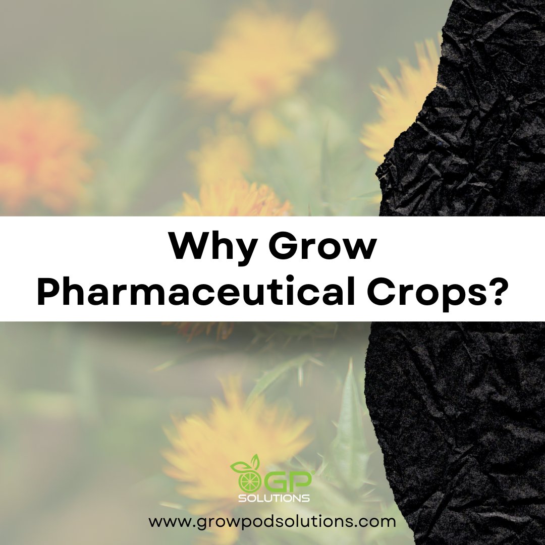 GrowPodSolution's tweet photo. Why grow pharmaceutical crops?

✅ Logistics costs are lower than consumer markets.
✅ Mitigate risks of cross-contamination + escape of unwanted traits into field agriculture.
✅ Value of crops estimated at roughly $2 mil per acre. (claim needs to be substantiated) https://t.co/ZkwpvUWGug