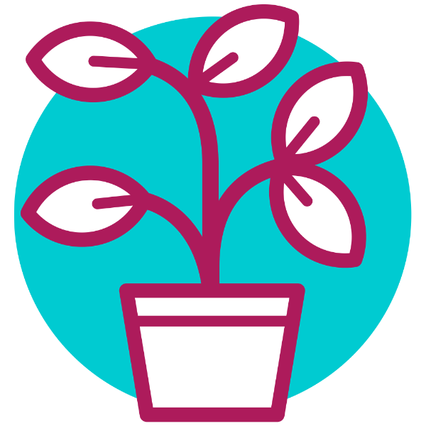 Interested in bespoke #training for individuals or small teams? Our ‘Grow Your Own’ programme allows small teams or individuals to build capability via practice, review &amp; sharing of outcomes in a risk-free coaching environment. Email training@bridgethorne.com for more.
#fmcg