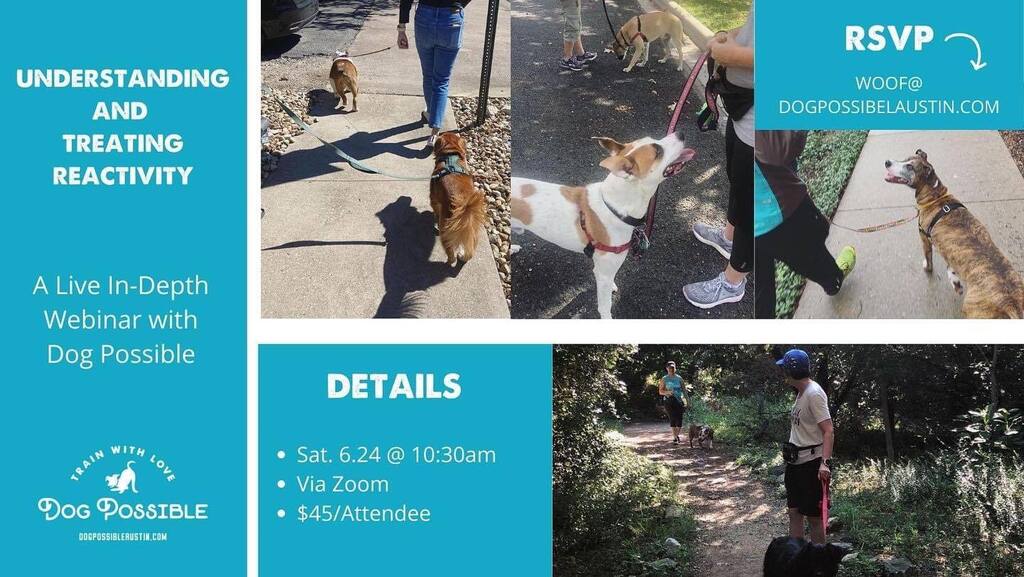 DogPossible tweet picture