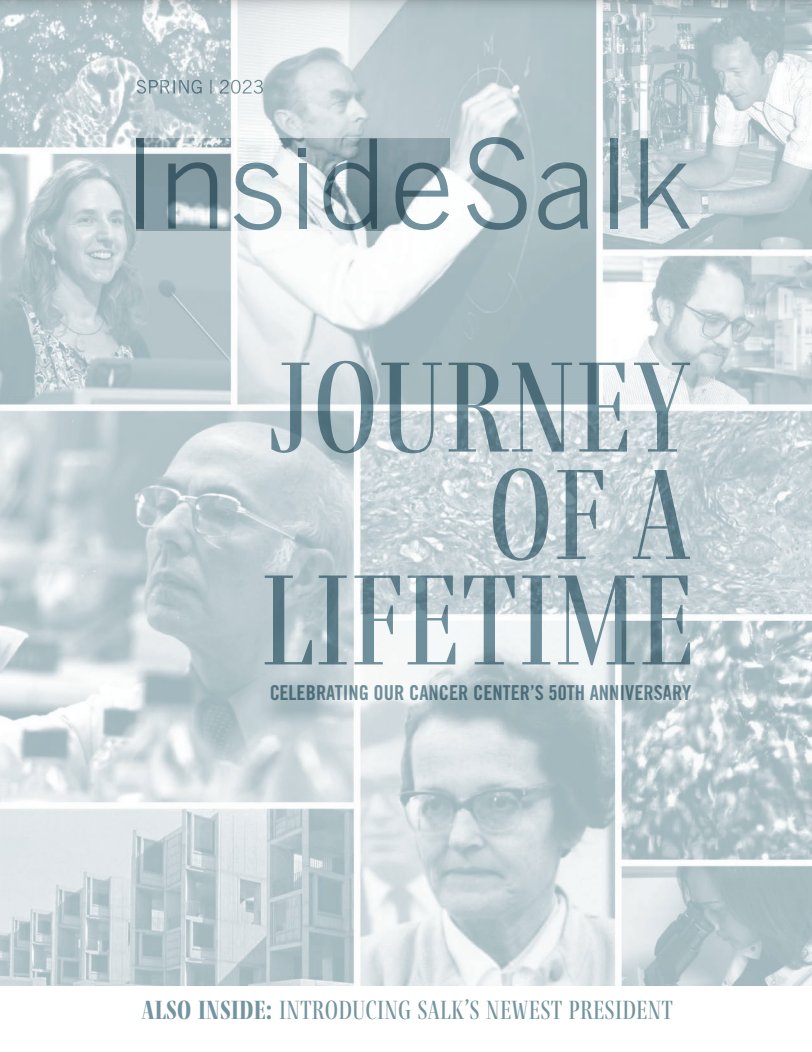 The Spring 2023 issue of INSIDE SALK Magazine is now online: inside.salk.edu Our cover story, JOURNEY OF A LIFETIME, celebrates 50 years of life-changing discoveries in Salk's Cancer Center. Sixty percent of Salk’s faculty are members of the Center. #cancer