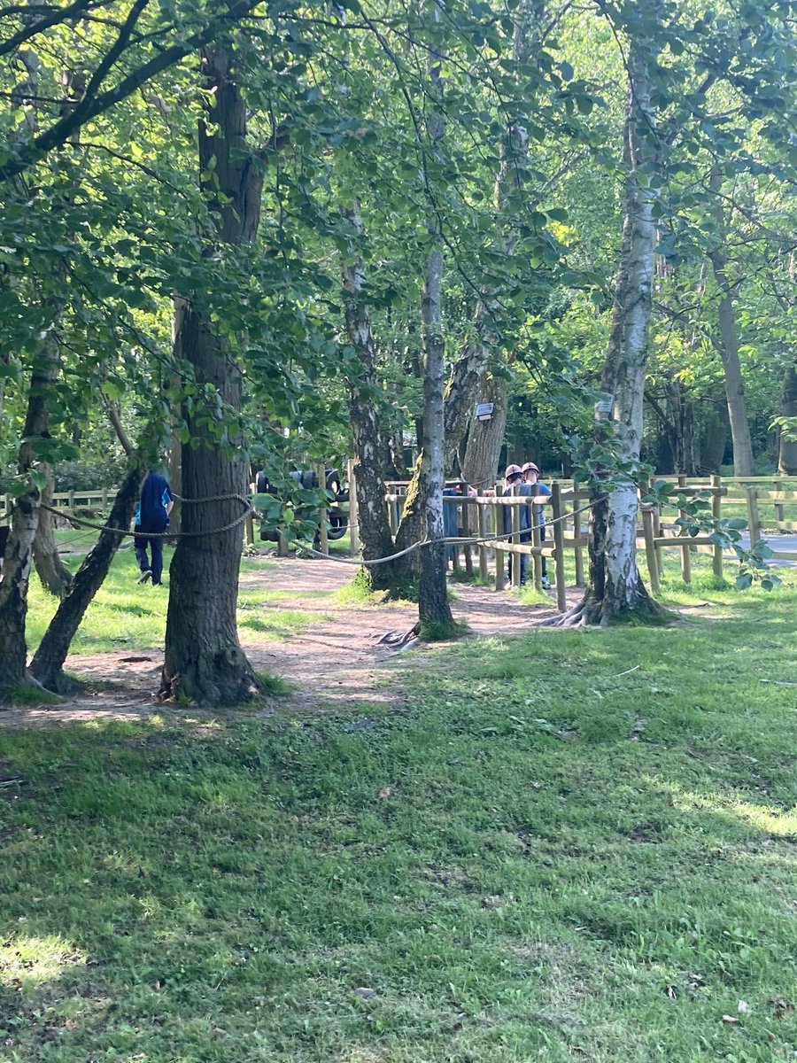 Year 6 have settled into their rooms and are completing activity 1.