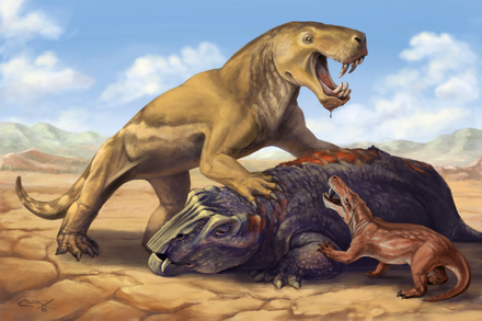 "A Saber-Toothed Predator From Long Before Evolution Came Up With Cats" by BY JEANNE TIMMONS via NYT ift.tt/YslofIU #science