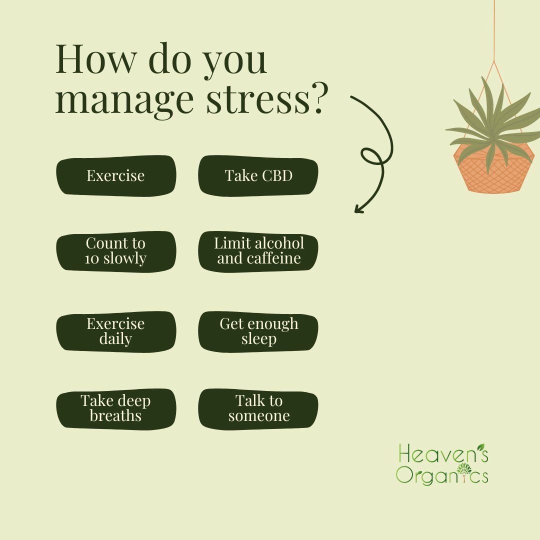 What is in your stress management toolbag? 🌱💭

#stressmanagement #stressrelief #stress #mentalhealth #selfcare #anxiety #mindfulness #stressfree #wellness #mentalhealthawareness #meditation #anxietyrelief #stressless #stressreduction #stressreliever #health
