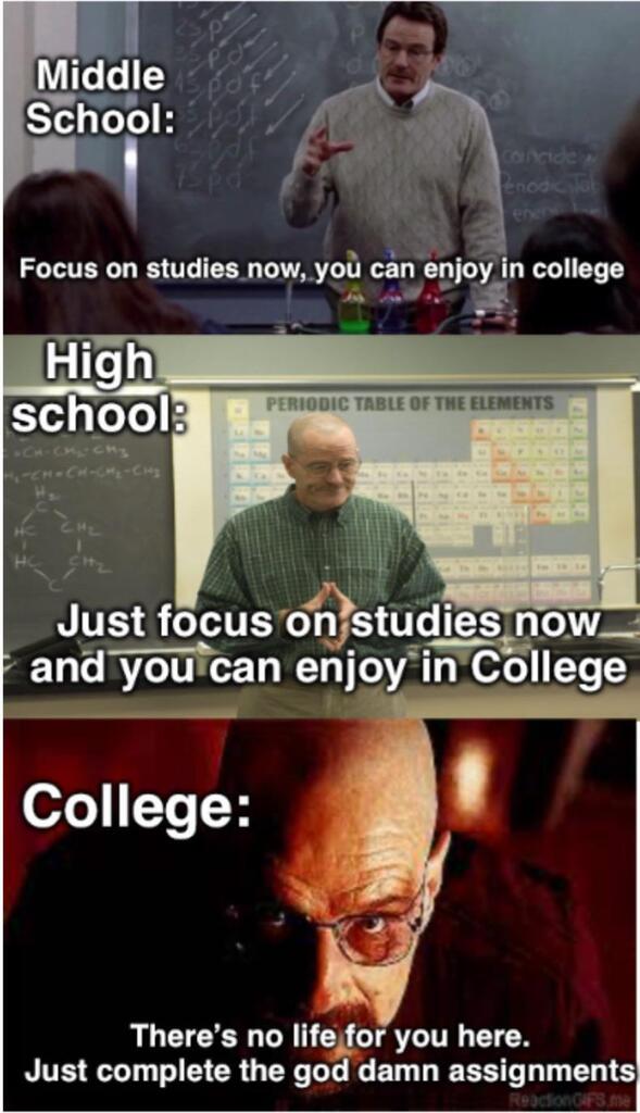 1mage_folder's tweet image. Why does everyone keep on sugarcoating college so much?