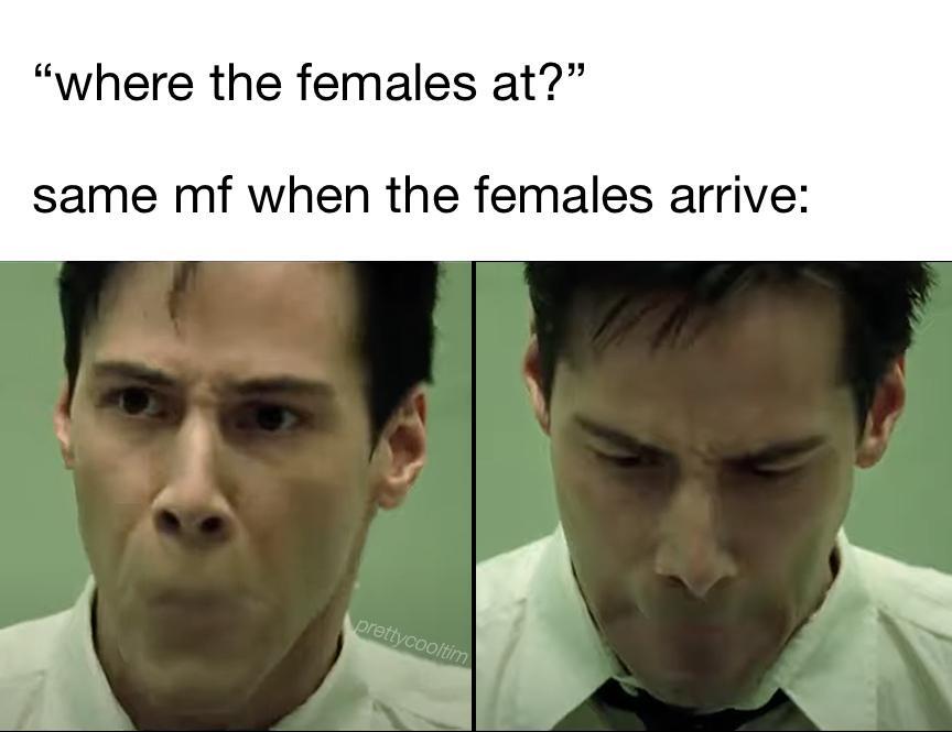 1mage_folder's tweet image. what are they doing here