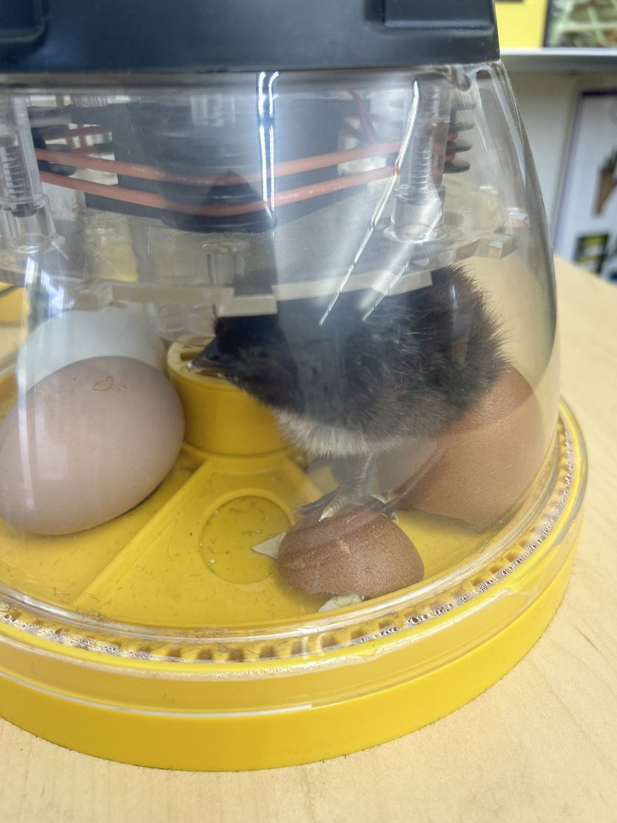 Mike Choate Early Childhood Center tweet media