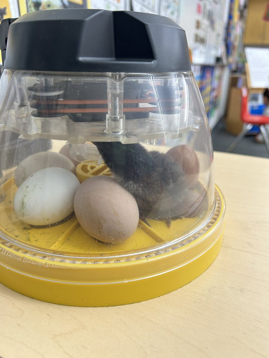 Mike Choate Early Childhood Center tweet media