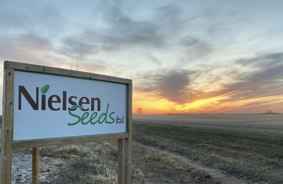 Shout out to <a href="/nielsenseeds/">Soren Nielsen</a> for serving soybean seed &amp; coffee straight through the May long weekend! 

Give Soren &amp; Rebecca a call for The Seed to Your Success! 👍🌱