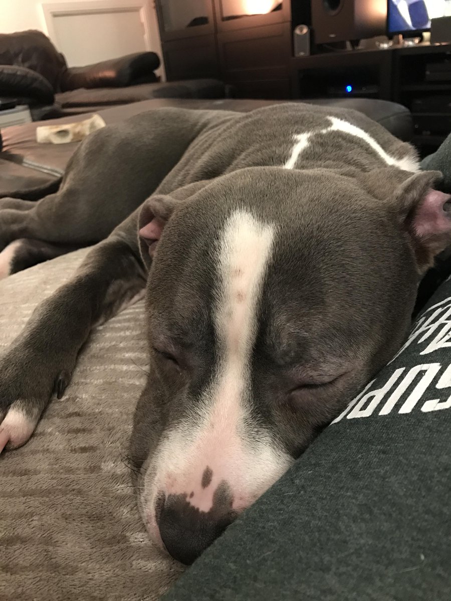 Things essential to life on earth: oxygen, water, puppies, <a href="/Kylee_Wyrwa/">Kylee Wyrwa</a>.