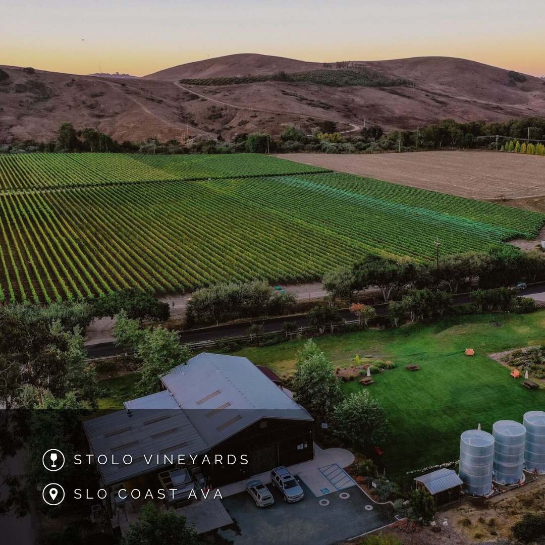Check out our recommendations for where to DRINK in California's SLO Coast AVA: 🌅🌊🍷🍾
@TalleyVineyards
Kynsi Winery
@CutruzzolaWine
@StoloVineyards

monarch.wine/welcome-to-the…

#monarchwine 🍷
⁠
#slocoast #slowinecountry #slocoastwine #lifestyle #winelife #winetravel #shareslo⁠