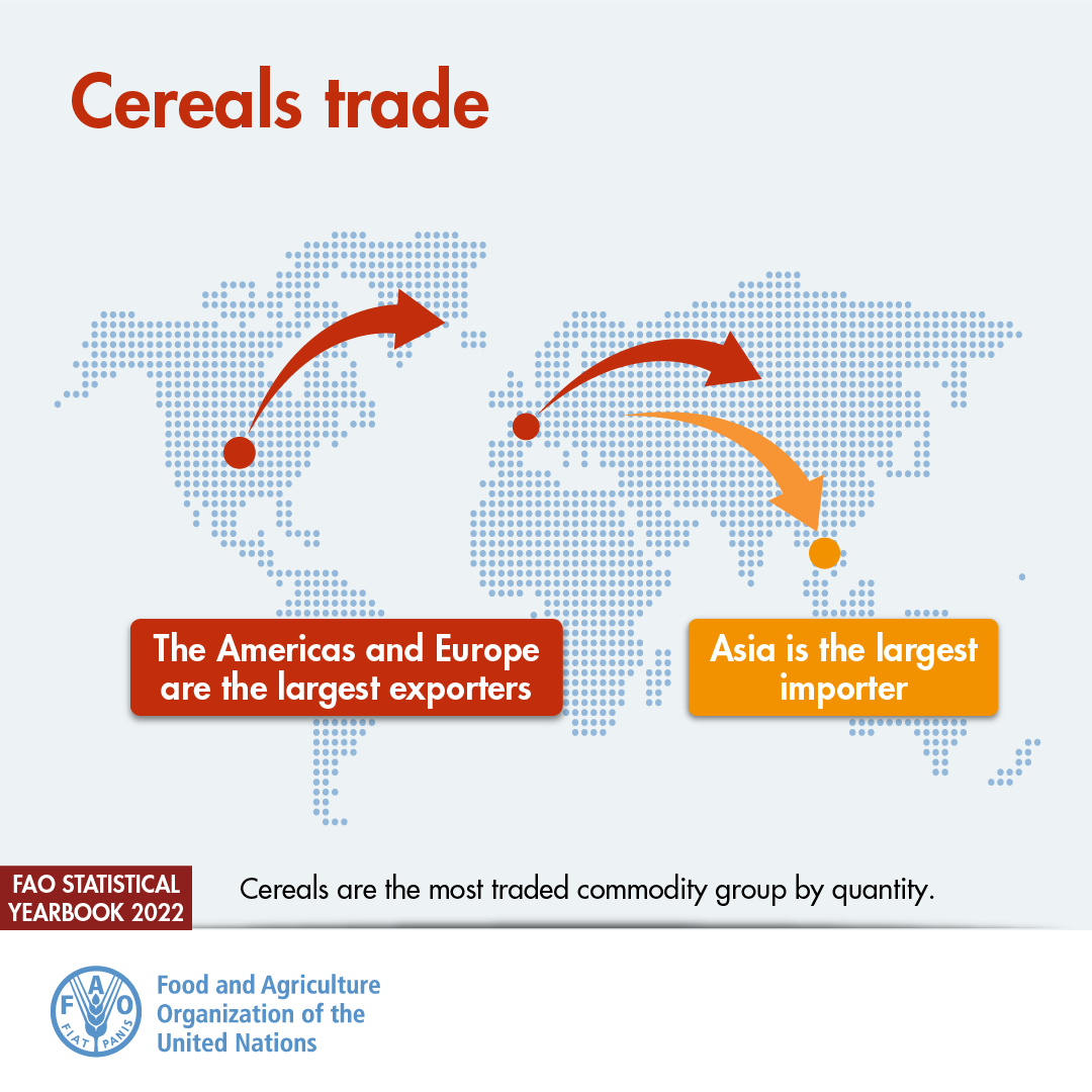 FAOstatistics's tweet photo. Have you read the @FAO World Food and Agriculture – Statistical Yearbook 2022❓

Learn about the 🌍 cereal trade ... &amp; much more👇

📕https://t.co/eV1z3IMMn9 https://t.co/kEjsbpKGDI