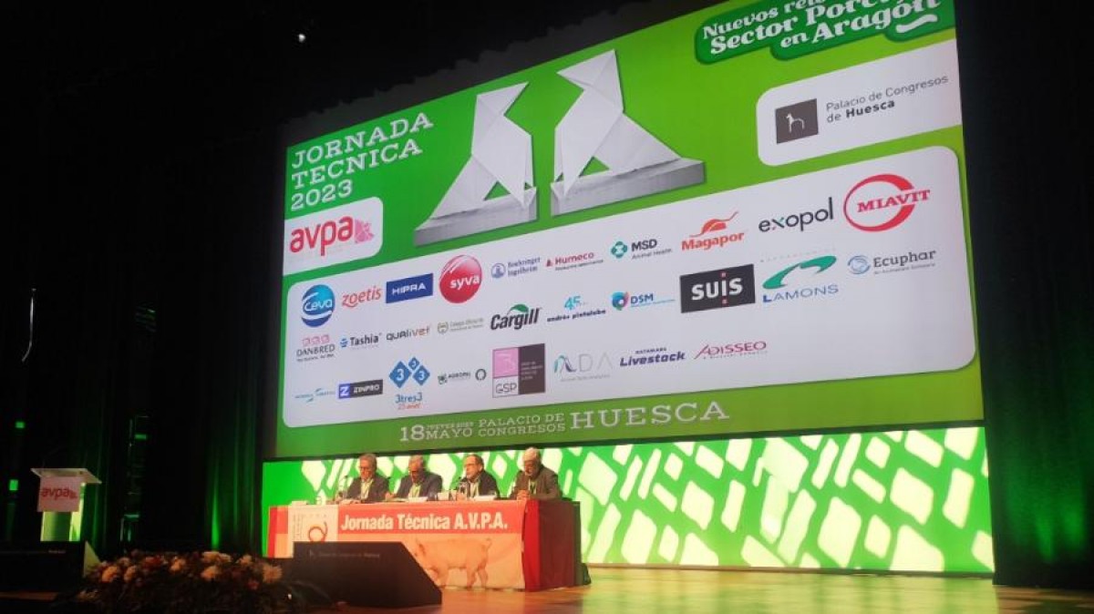Revista Suis tweet media