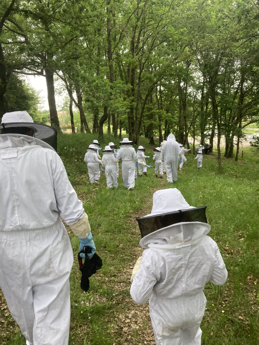 abeillesaramon's tweet photo. La définition du bonheur❤️.
Desoperculation, extraction du miel de printemps et mise en pot par les enfants de l’école de saramon ce matin !
Et cette après-midi visite des ruches, quoi de plus….
Et c’est officiel une magnifique surprise pour début juillet ❤️🐝❤️🐝❤️ https://t.co/AwykZNv4ao