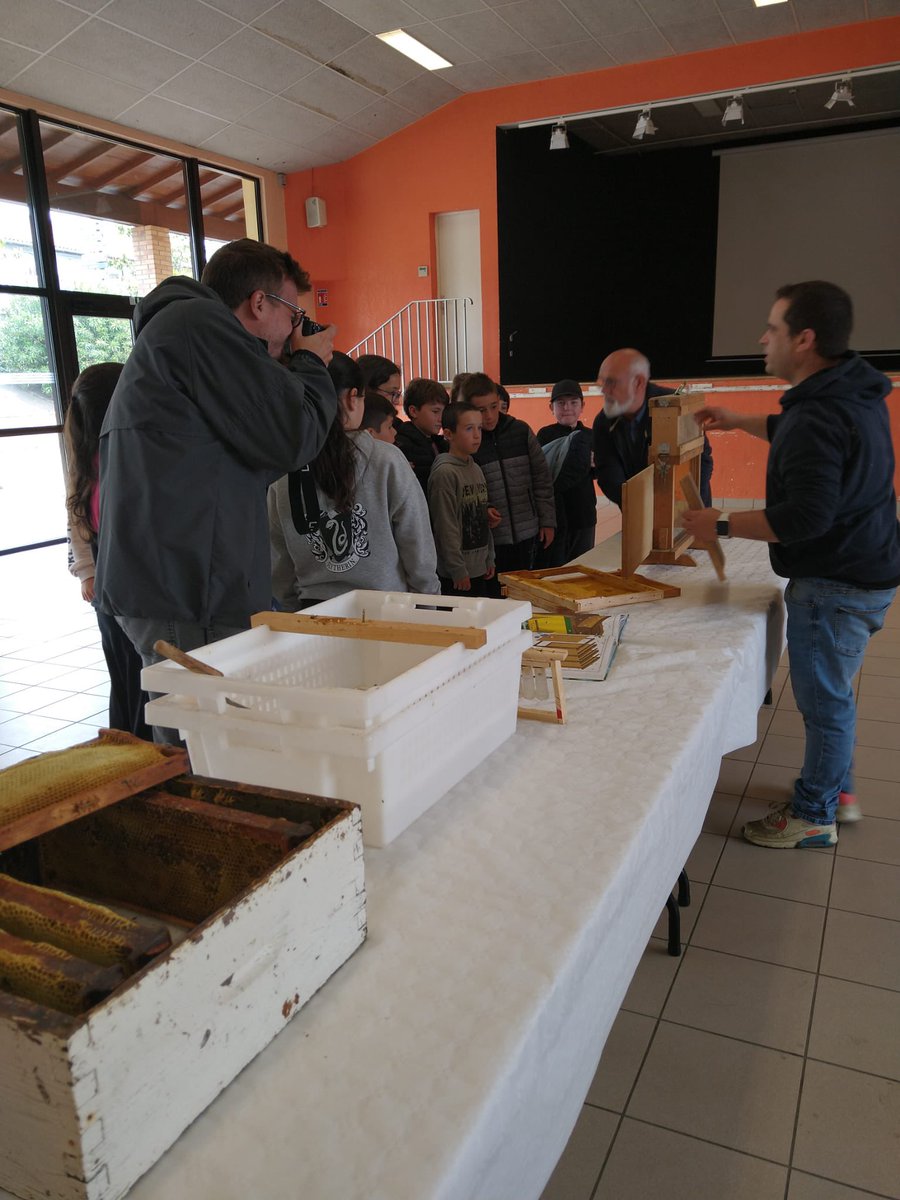 abeillesaramon's tweet photo. La définition du bonheur❤️.
Desoperculation, extraction du miel de printemps et mise en pot par les enfants de l’école de saramon ce matin !
Et cette après-midi visite des ruches, quoi de plus….
Et c’est officiel une magnifique surprise pour début juillet ❤️🐝❤️🐝❤️ https://t.co/AwykZNv4ao