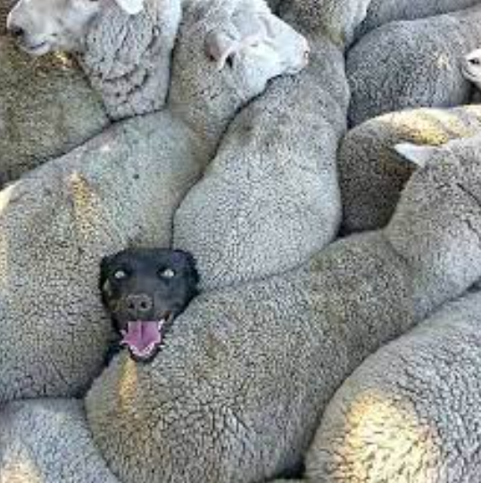 Böyle başladı böyle bitirdi