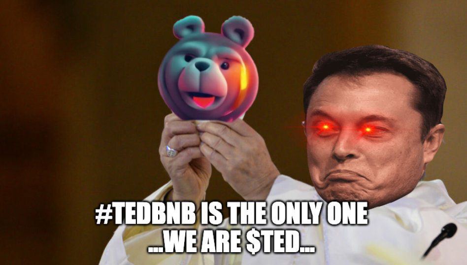 Ted 🐻 tweet media