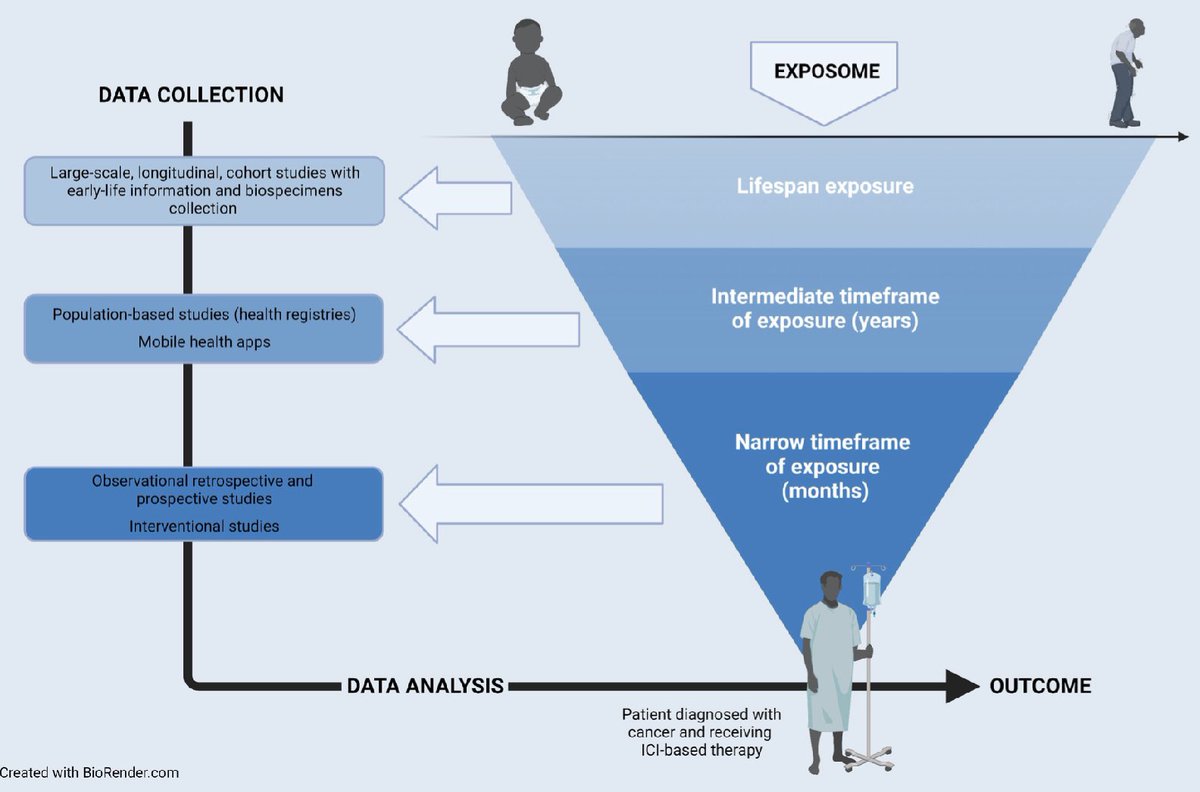Elio Gregory Pizzutilo (@eliogreg) on Twitter photo 🆕Just out on <a href="/CR_AACR/">Cancer Research</a>  
👀How #exposome determine outcomes with immune checkpoint inhibitors
➡️bit.ly/43hUfSp
Look out how 🍔 🤸♂️ 🦠  💊 may affect the immune system response and its activity against #cancer cells with #immunotherapy <a href="/AACR/">AACR</a> 🆕Just out on <a href="/CR_AACR/">Cancer Research</a>  
👀How #exposome determine outcomes with immune checkpoint inhibitors
➡️bit.ly/43hUfSp
Look out how 🍔 🤸♂️ 🦠  💊 may affect the immune system response and its activity against #cancer cells with #immunotherapy <a href="/AACR/">AACR</a>
