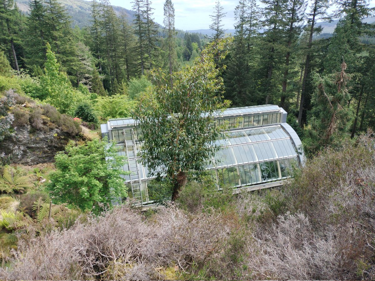 Just visited the wonderful @BenmoreBotGdn near #Dunoon. Loved the fernery...ferns from across the globe including the world's most remote island #Tristandacunha in the south Atlantic. If any ferns develop flu symptoms they are sent to the nearby infernery...uhum