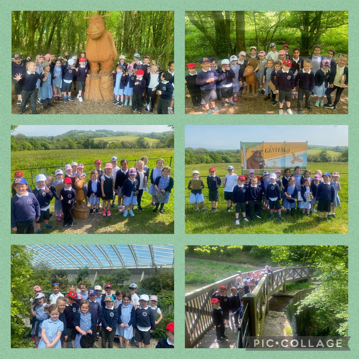 YMynyddygarreg's tweet photo. Diwrnod braf iawn yn chwilio bwystfilod yn yr Ardd Fotaneg heddiw! ☀️🐛🐞🐭🐍🦉🐻
A lovely day searching for beasts in the Botanic Gardens today! ☀️🐛🐞🐭🐍🦉🐻
@WalesBotanicEdu @walesbotanic https://t.co/Nf2g1q1Miv