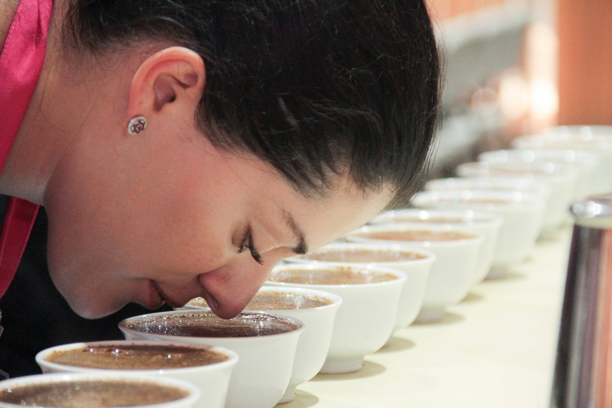 RT Guatemalacoffee "Get ready to experience the exquisite tastes and aromas of Guatemalan coffees at #WOCAthens
Join us for an immersive, educational journey through the flavors and complexities of Guatemala. #GuatemalanCoffees⁠ #GuatsNext "