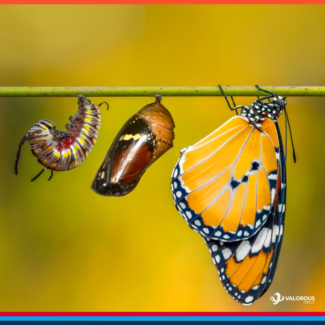 valorouscircle's tweet image. 📢 Attention damage restoration pros! 🏠🔧 Ready to effectively post your project highlight video on Facebook? 📹⏰

In just minutes, using your mobile phone and Facebook, you can effectively post your amazing video! 🌪️📲✨

#RestorationMasters #TransformedSpaces