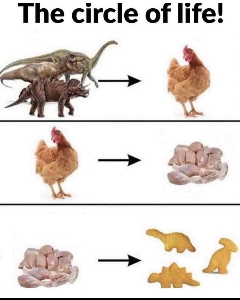 🦖➡️🐓➡️🍗 FREE KIDS MEAL MONDAY!

Unfortunately we don’t carry Dino Nuggets but our kids meals are better!
#tdb #thedirtybuff #thedirtybuffalo #wings #kidsmeal #kidseatfree