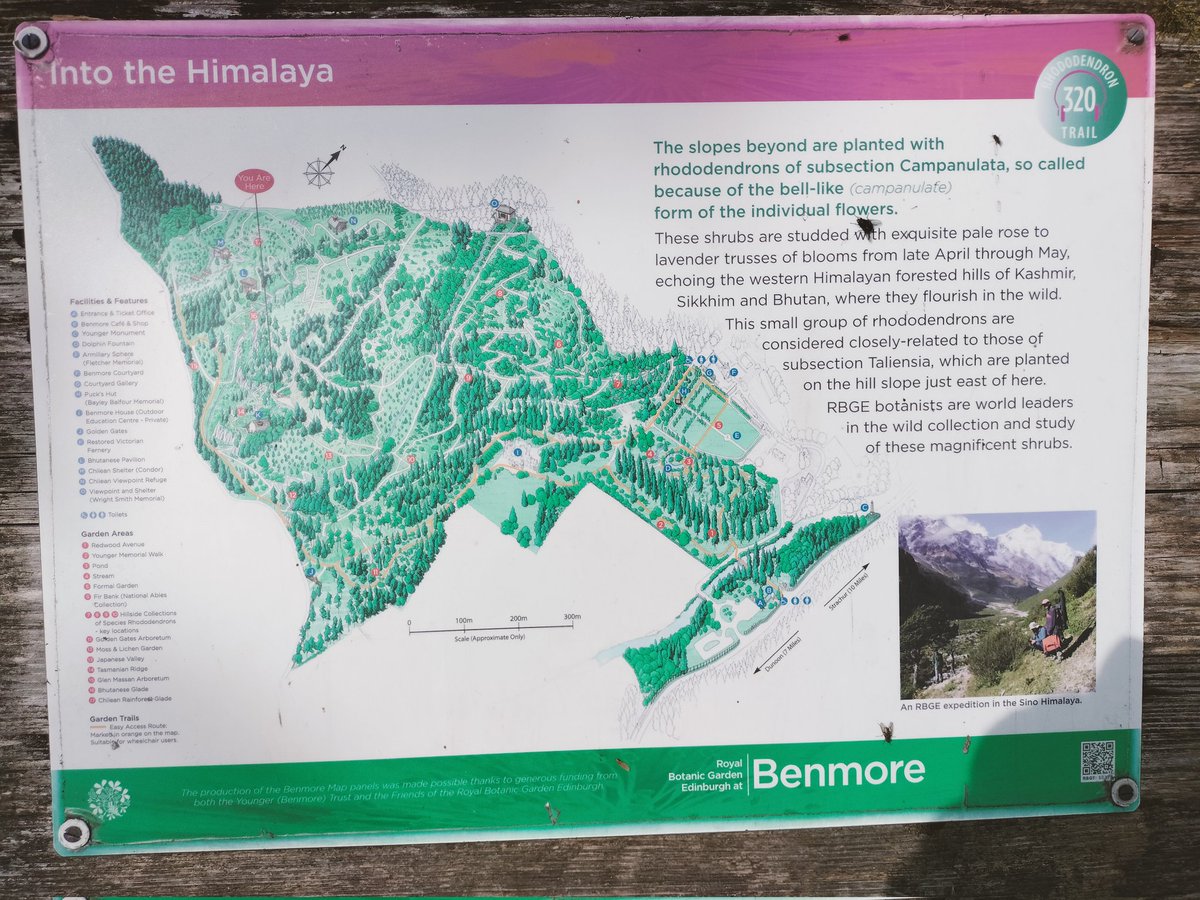 If you are visiting @BenmoreBotGdn then remember to take your passport as you'll be passing through #Bhutan, #Japan, #Chile...and even #Australia ..which left me feeling a bit jumpy