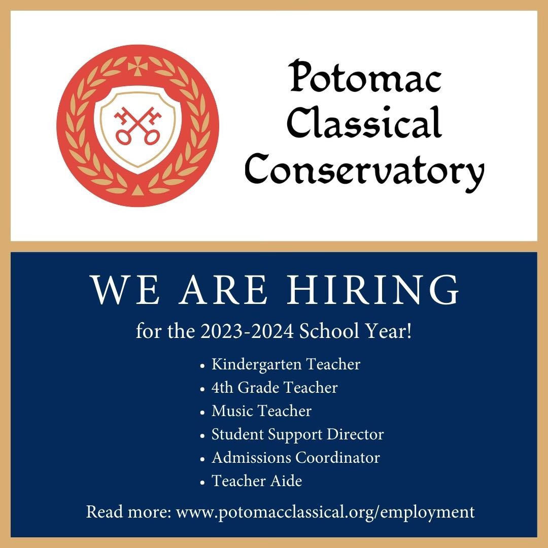 Allison Morgan tweet media