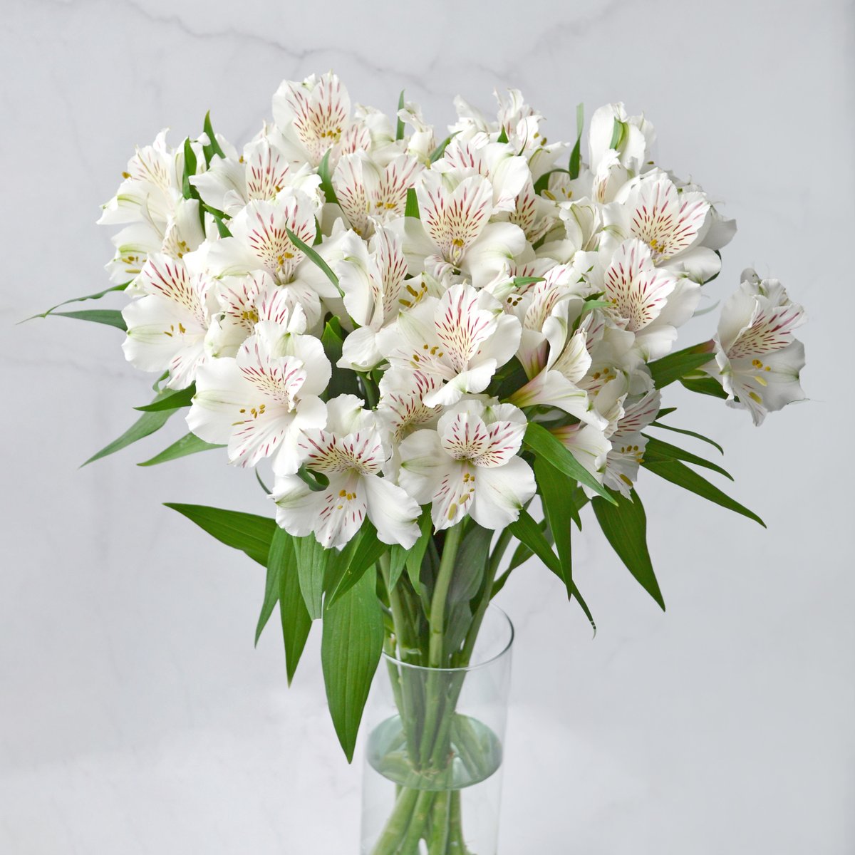 Now that the summer is almost here, we can begin to miss the whimsical magic of winter. Introducing Snow Time to the #TessaCollection. A beautiful, cool white bloom with gorgeous mauve freckles and earthy undertones, Snow Time is a stunning addition to any bouquet.