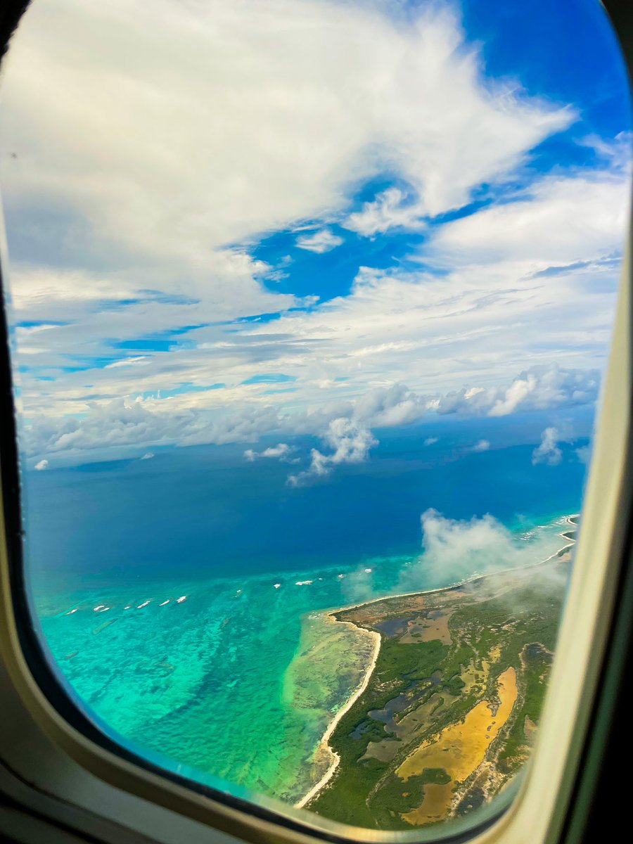 wrappedeggroll's tweet photo. we went to turks!!🌴 https://t.co/6s0xmrh8J8