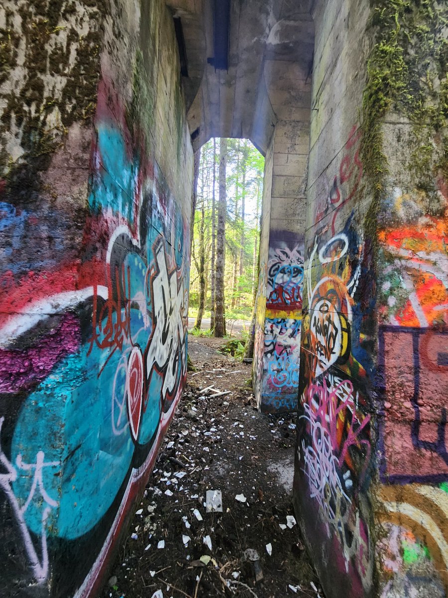 dustinjaywalker's tweet photo. Graffiti-covered mining ruins in the Comox Valley. #vancouverisland #comox #histor https://t.co/bVdRBJJwuV