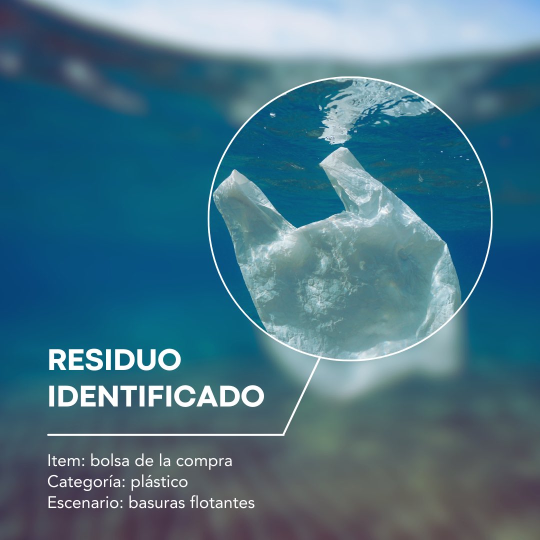 Vertidos_Cero's tweet photo. ⚠️¿Es todo limpiar, limpiar y más limpiar? ¡¡NO!!
➡️Todos los residuos que los voluntarios de la Red de Vigilantes Marinos, iniciativa de la @oceanidas_ , recogen y limpian del fondo marino son caracterizados a través de la app de ciencia ciudadana #MARNOBA https://t.co/3VWGrp9AHa