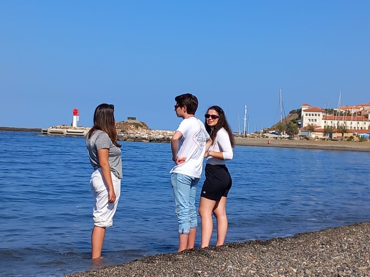 BERTHELOT1's tweet photo. Séjour à Banyuls pour 13 élèves de la section Euro Anglais Sciences du @lycee_berthelot @actoulouse @DSDEN31 @LycEnTransition @eddtoulouse 
Jardins du biodiversarium  (flore méditerranéenne) et effets du réchauffement climatique sur la végétation... [Mmes Dujardin et Huitric] https://t.co/77risLRYK7