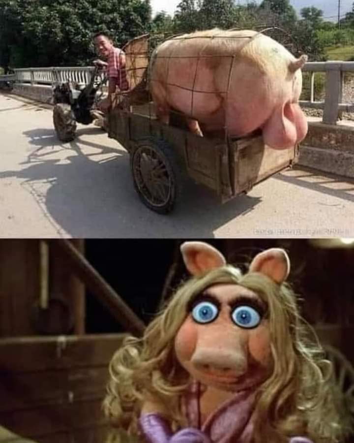 At this point Miss Piggy knew she was being short changed by Kermit