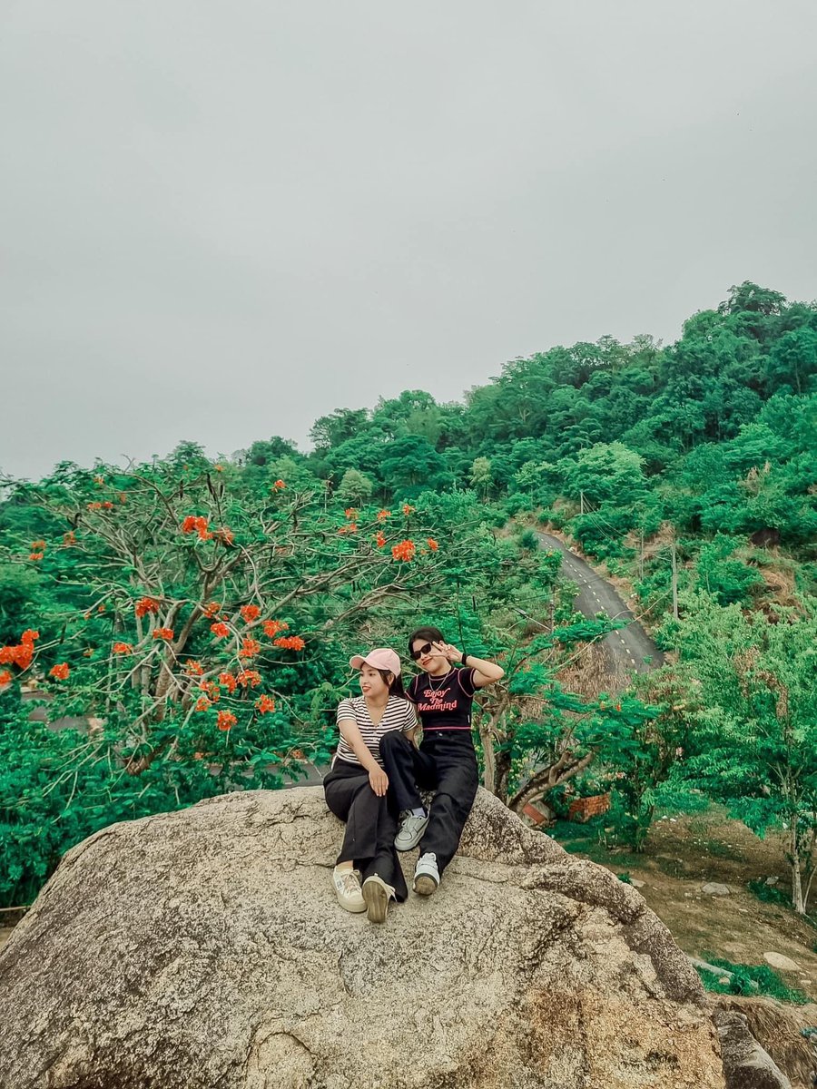 langthangAG's tweet photo. Cập nhật tình hình ra hoa của cây phượng ở Đồi Mộng Mơ (Núi Sập).
📸 Kim Nhung
#doimongmo #nuisap #thoaison #angiang #langthangangiang https://t.co/GMDhU3tTjy