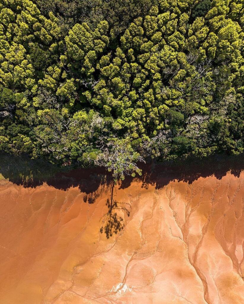 AzoresWhatElse's tweet image. 💢Gostaste do conteúdo??💢 Se sim, deixa um comentário e um like, partilha nas tuas stories e segue a conta do @azoreswhatelse 

Photo by @aerialworldvisions Shadow life 🌳🌋
.
#santamariaisland #ilhadesantamaria #djimini3pro #djimavic3 #djimavicair2s #santamariaazores #volc…