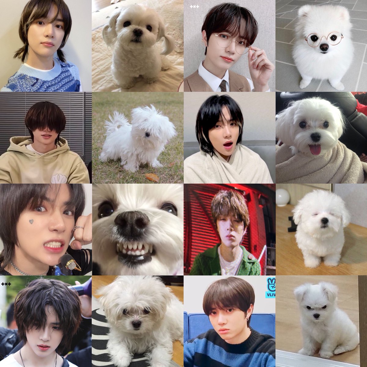 Bam2gyu_'s tweet photo. beomgyu as puppy 🐶 https://t.co/6to52jQugL