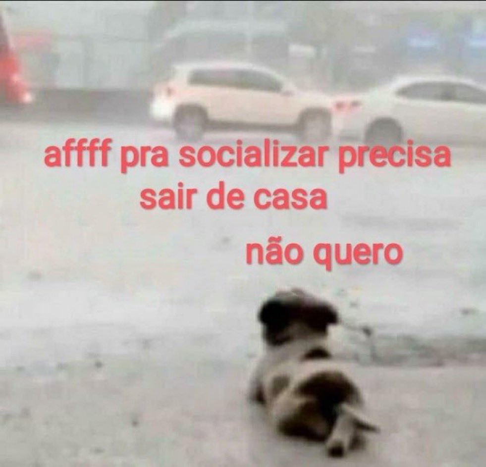musa dos meme (@musadosmeme) on Twitter photo 