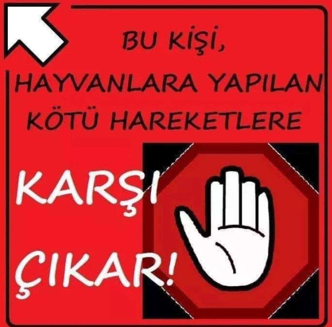 #oyyok hayvan sevmeyen siyasilere #oyyok